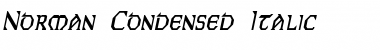 Norman-Condensed Italic Font Title Preview