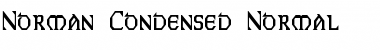 Norman-Condensed Normal Font Title Preview