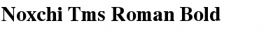 Noxchi Tms Roman Bold Font Title Preview
