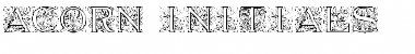 Acorn Initials Regular Font Title Preview
