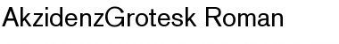 AkzidenzGrotesk Roman Font Title Preview