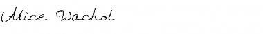 Alice Wachol Regular Font Title Preview