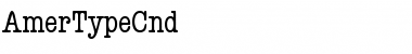 AmerTypeCnd Regular Font Title Preview