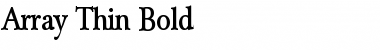 Array Thin Bold Font Title Preview