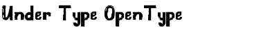 Under Type Regular Font Title Preview