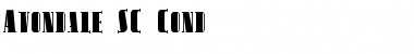 Avondale SC Cond Regular Font Title Preview