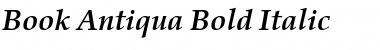 Book Antiqua Bold Italic Font Title Preview