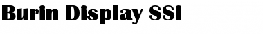 Burin Display SSi Regular Font Title Preview