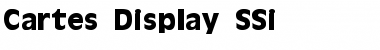 Cartes Display SSi Regular Font Title Preview