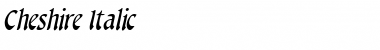 Cheshire Italic Font Title Preview