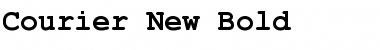 Courier New Bold Font Title Preview