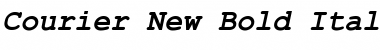 Courier New Bold Italic Font Title Preview