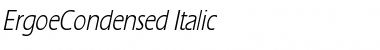 ErgoeCondensed Italic Font Title Preview