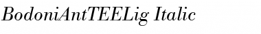 BodoniAntTEELig Italic Font Title Preview
